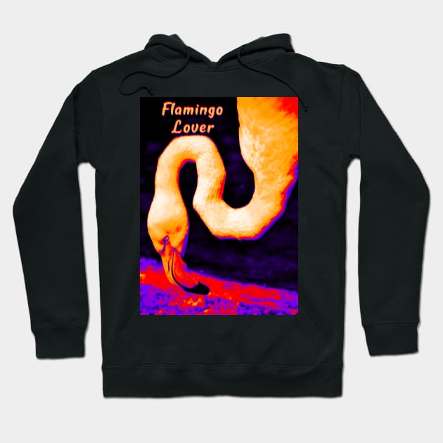 Flim Flam - Flamingo Lover Hoodie by ak3shay